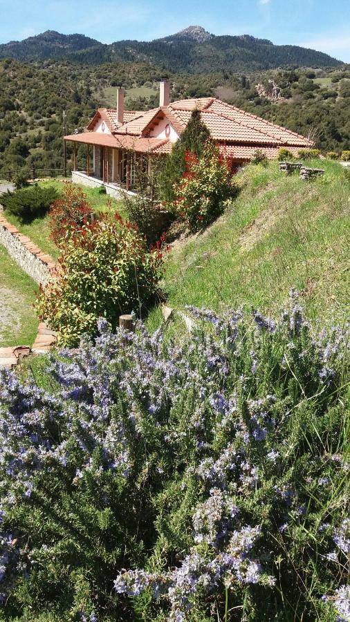 Agropoli Hotell Nimfasía Exteriör bild
